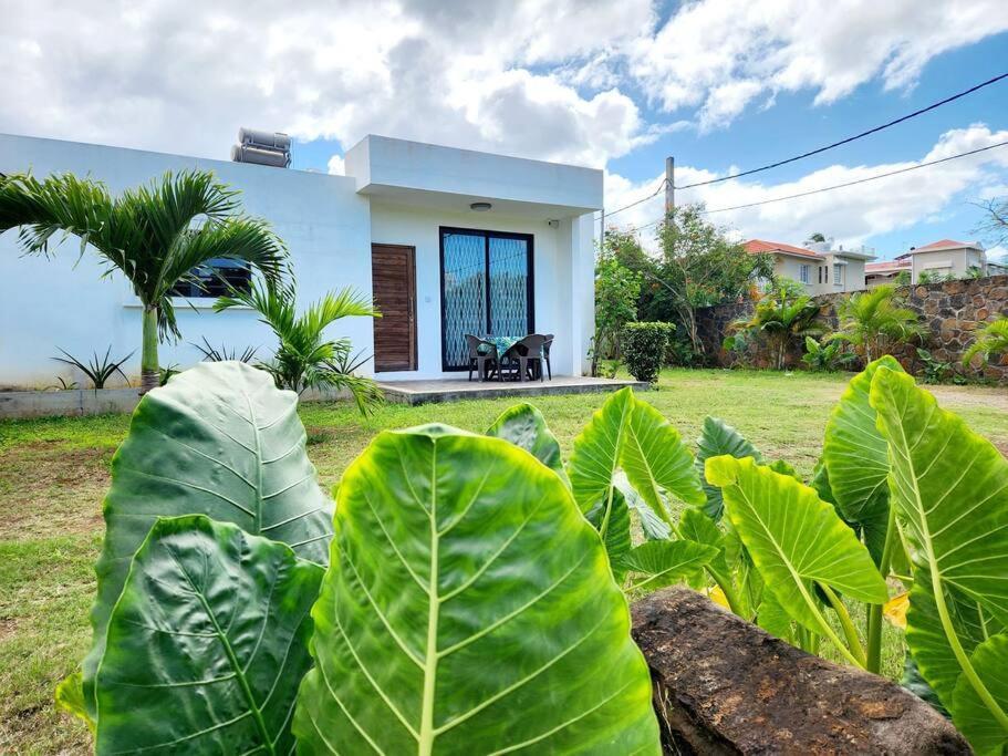 La Maison D'Isa Альбион Экстерьер фото